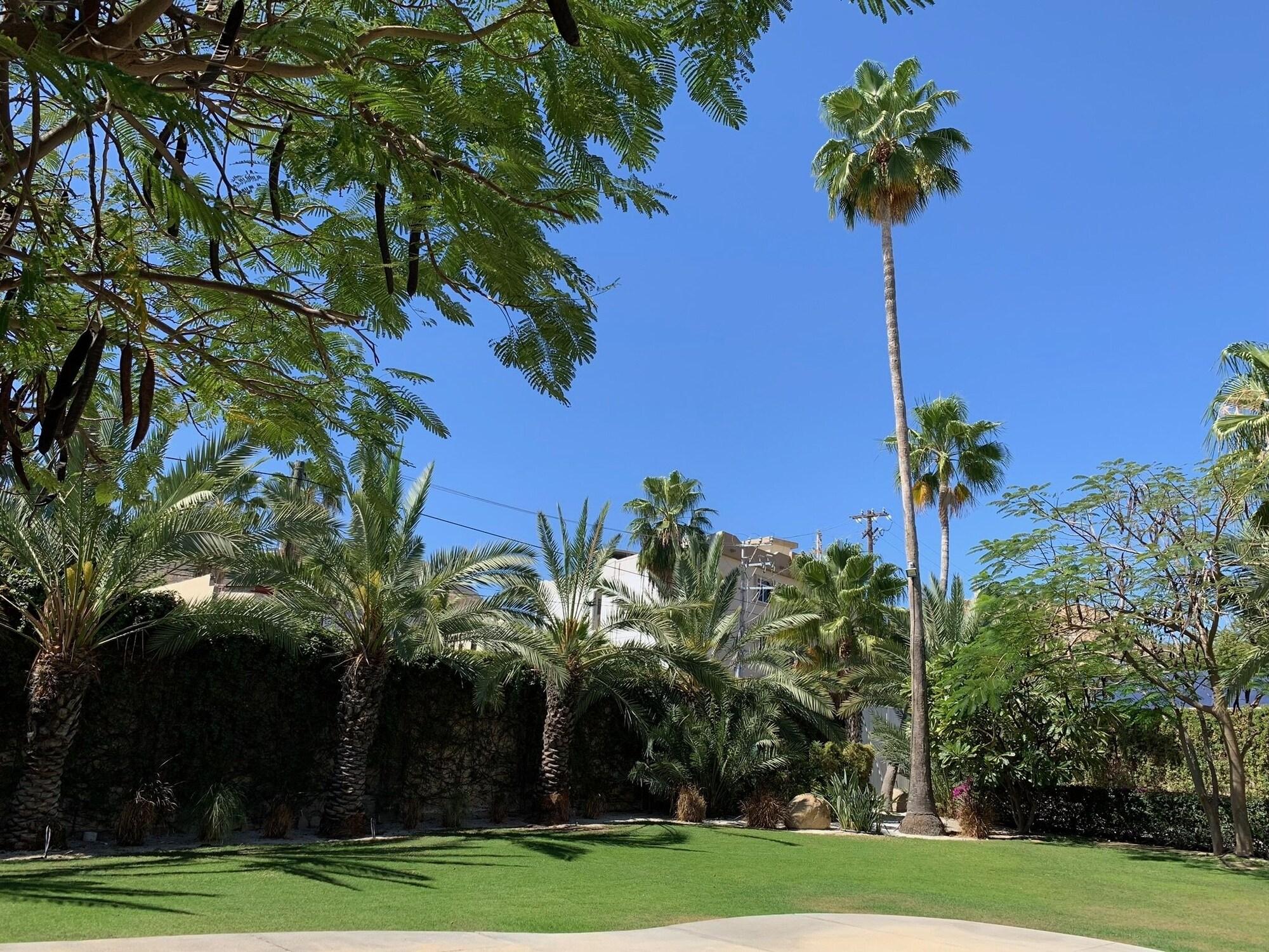 Los Milagros Hotel Cabo San Lucas Kültér fotó