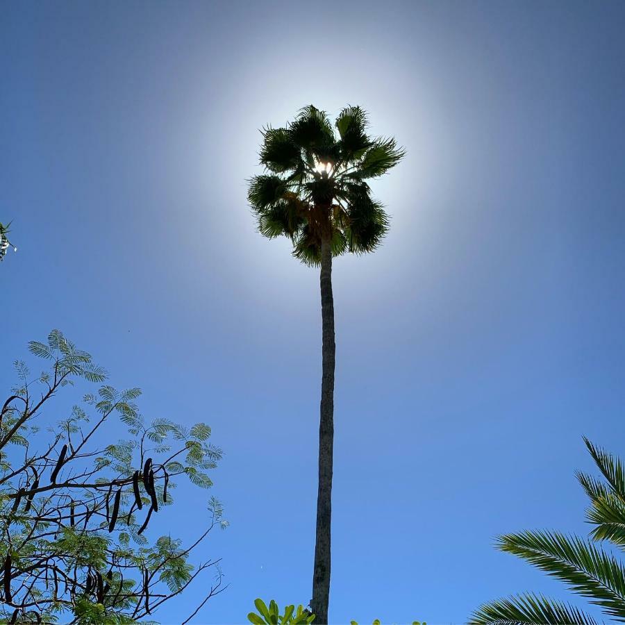 Los Milagros Hotel Cabo San Lucas Kültér fotó